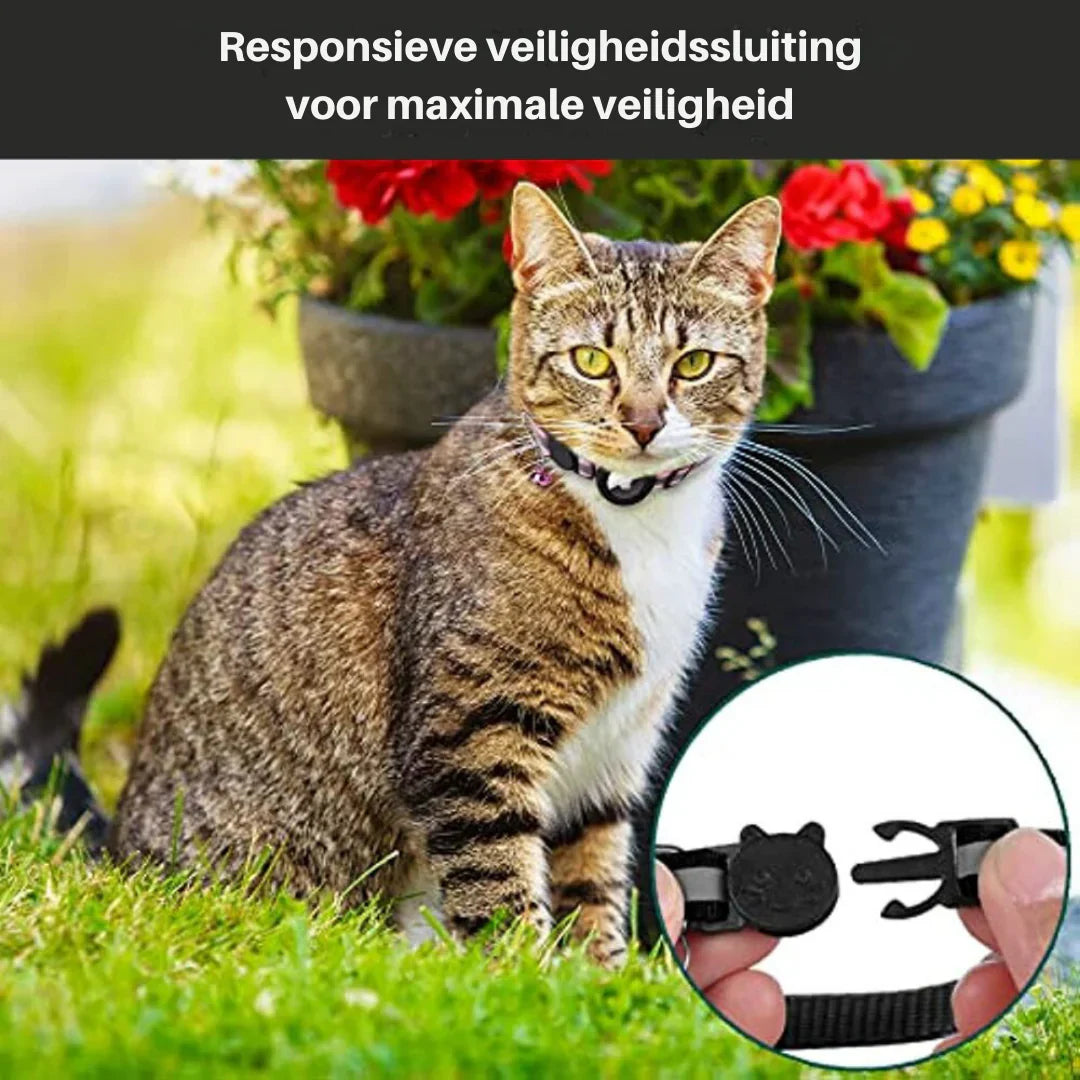 Pet GPS Tracking Collar