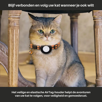 Pet GPS Tracking Collar