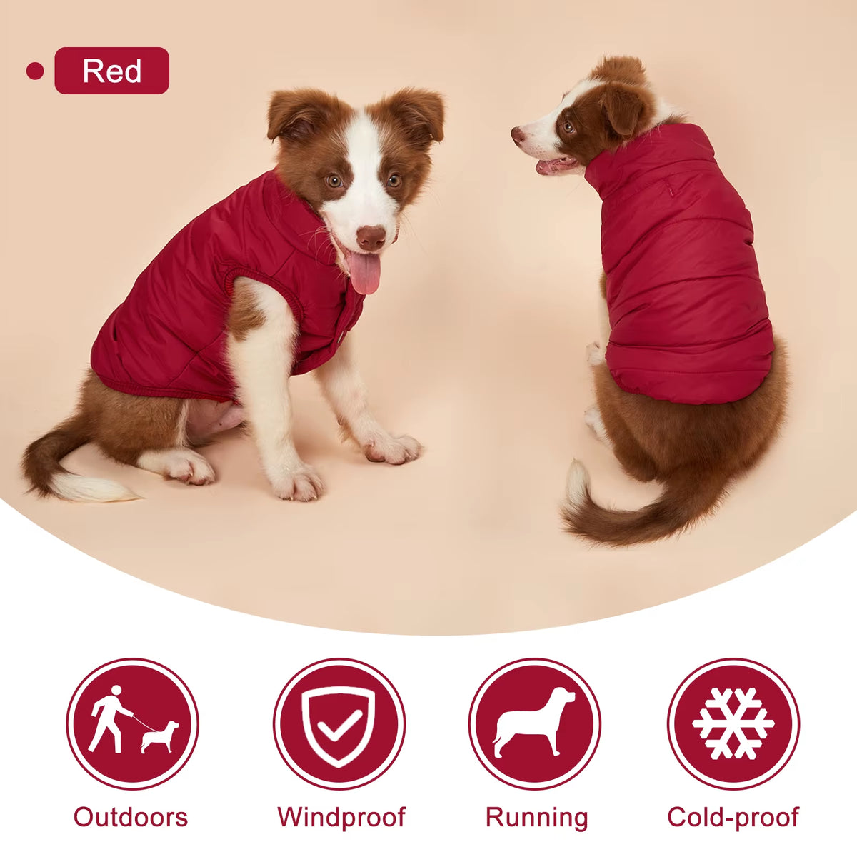 Winter Pet Coat 