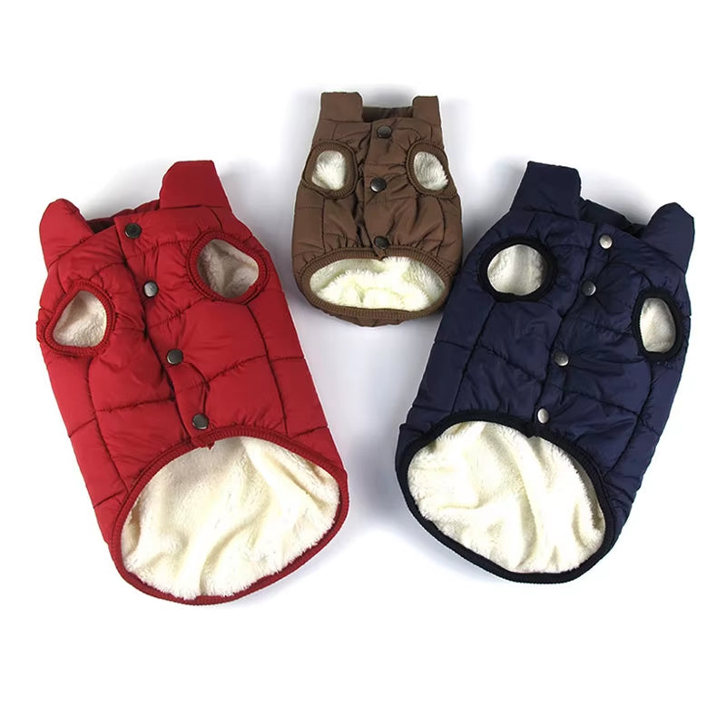Winter Pet Coat 