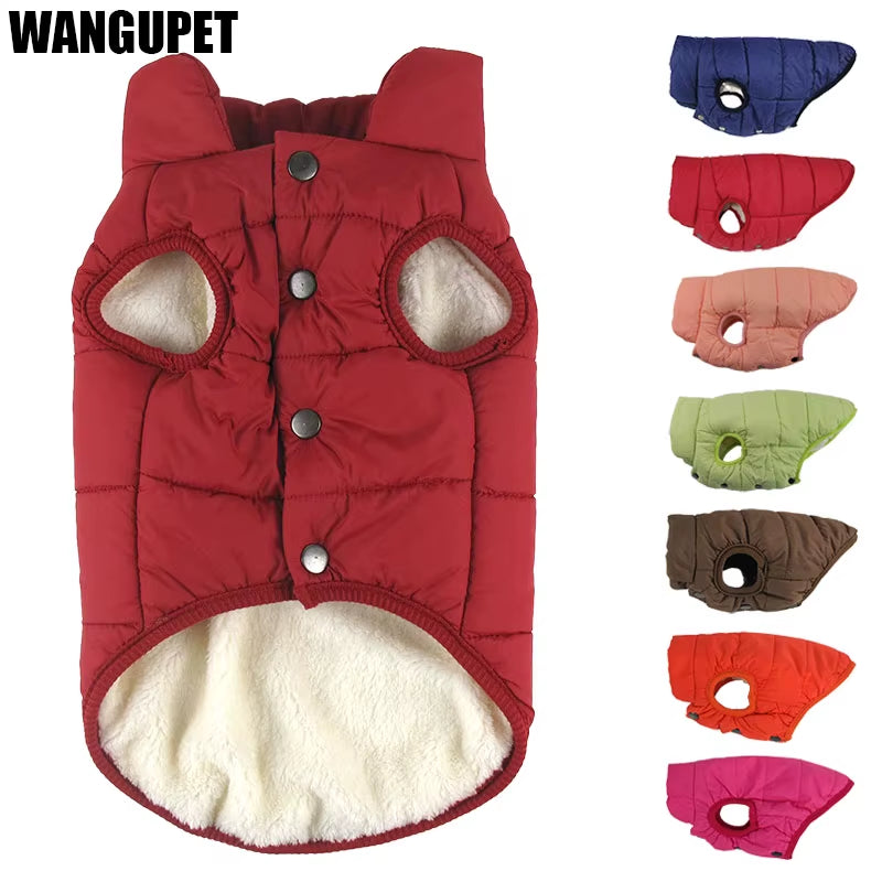 Winter Pet Coat 