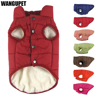 Winter Pet Coat 