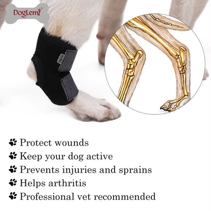 Pet Dog Bandage
