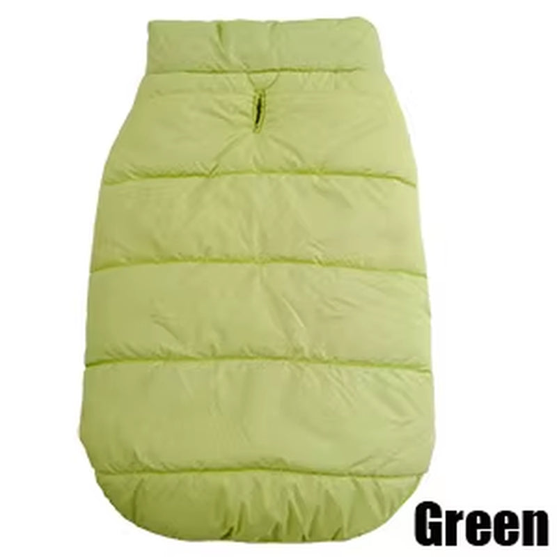 Winter Pet Coat 