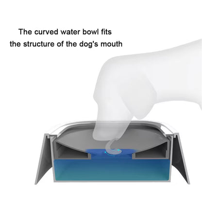 Dog Drinking Water Bowl Floating 