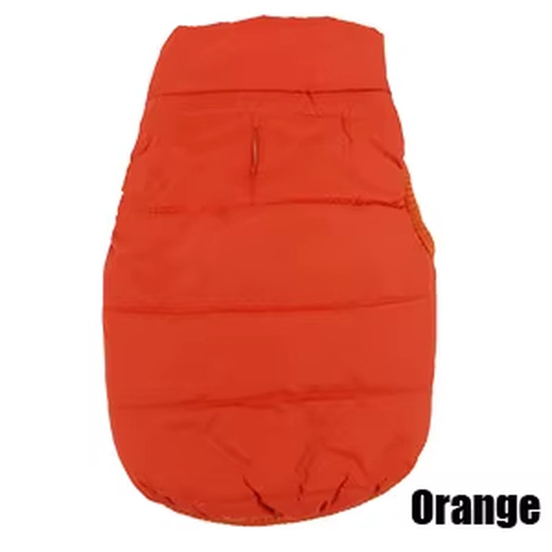 Winter Pet Coat 
